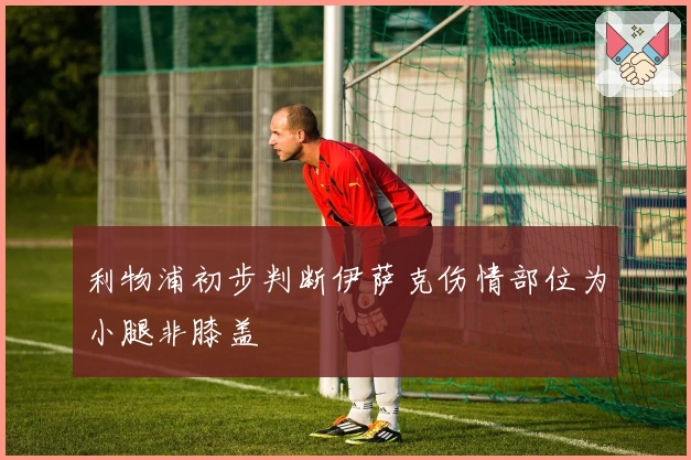 利物浦初步判断伊萨克伤情部位为小腿非膝盖