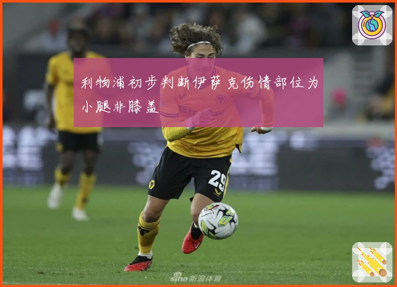 利物浦初步判断伊萨克伤情部位为小腿非膝盖